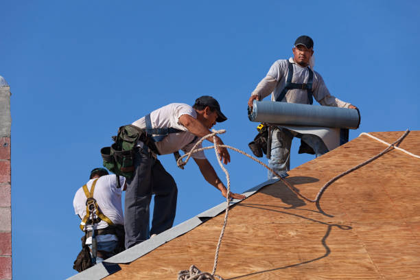 Best Local Roofing Companies  in Concord, MI